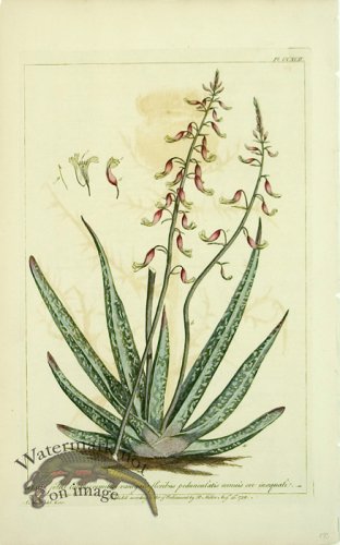 (image for) Philip Miller 029