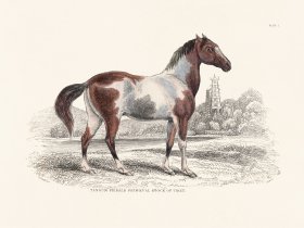 (image for) Jar Horse 01