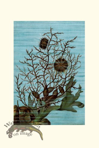 (image for) Underwater 16