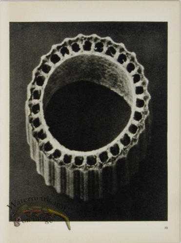 (image for) Blossfeldt T 070