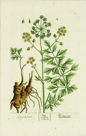 Blackwell German 006