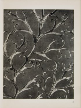 Blossfeldt T 040