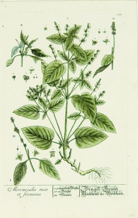 Blackwell German 070