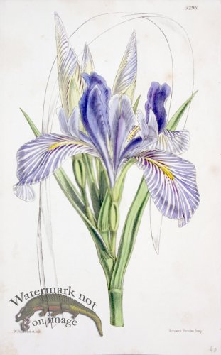 (image for) CBMS_0026