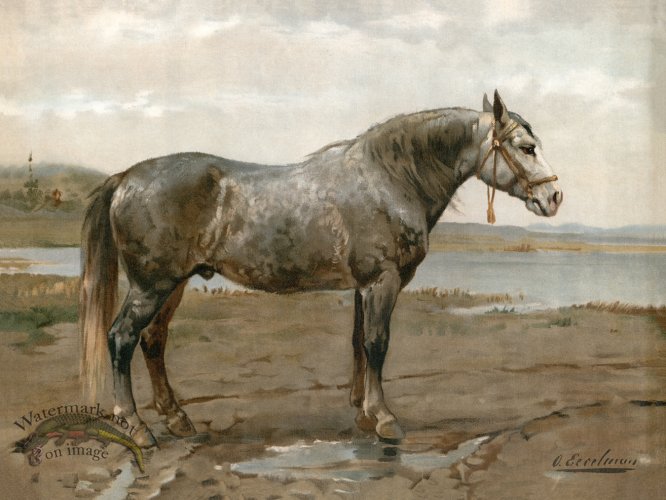 (image for) Russian Work Horse by Eerelman