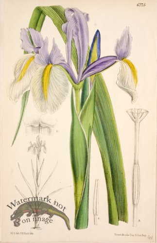 (image for) CBMS_0024