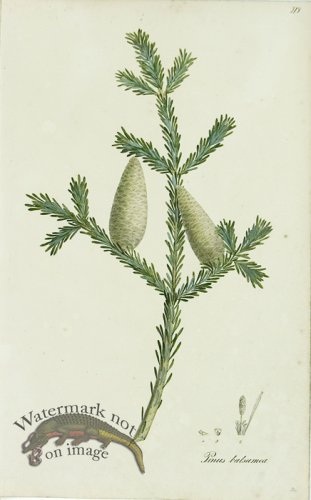 (image for) 1828_Gmp 060