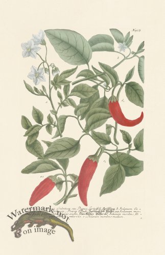 (image for) Weinmann PL 927