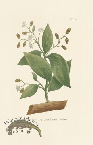 (image for) Weinmann PL 385