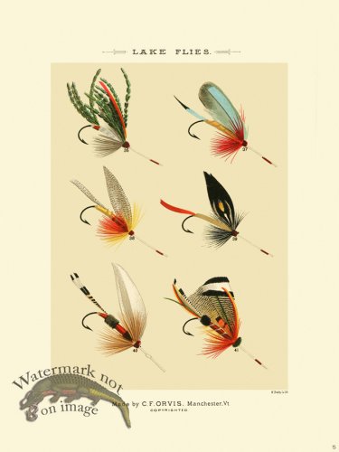 (image for) Favorite Flies 05 Lake
