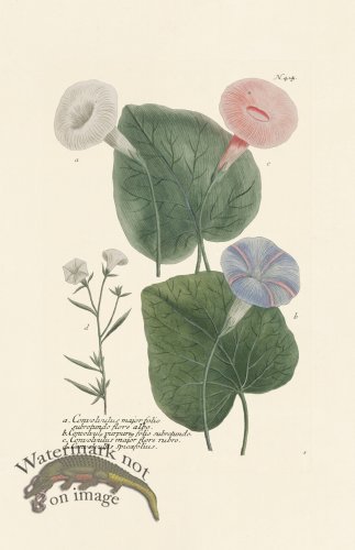 (image for) Weinmann PL 414