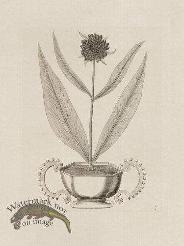 (image for) Potted Plant 07