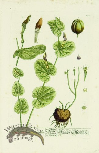 (image for) Blackwell German 230