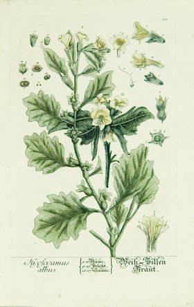 Blackwell German 077