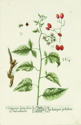 Blackwell German 196