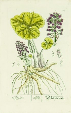 Blackwell German 027