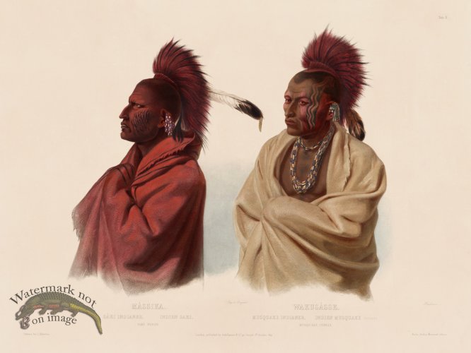 (image for) 03 Massica and Wakusasse