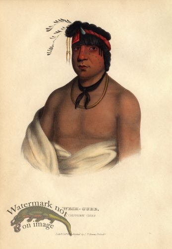 (image for) Wesh-Cubb