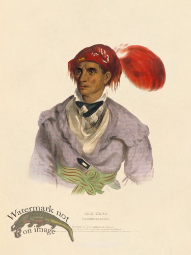 (image for) Tah-chee Cherokee