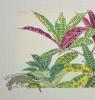 Tropical Plant from 1880