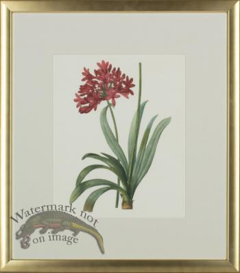 Bury Lillies in Gold Frame 04