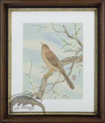 Orental Watercolor of a Bird Framed