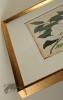 Andrews Botanicals in Gold Frame 03