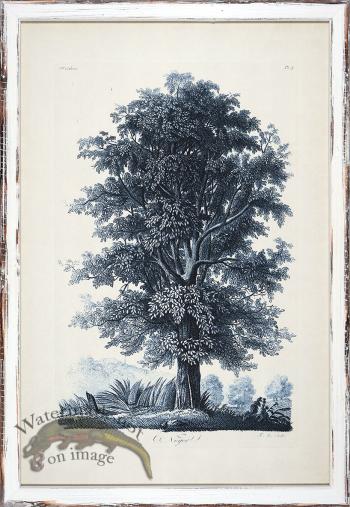 Blue Trees in Distressed White 02