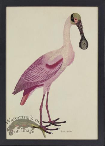 Tribute BFs 02 -- Spoonbill