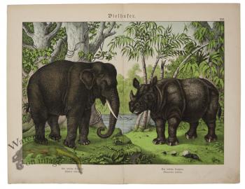 Rhino Elephant
